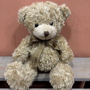 Teddy