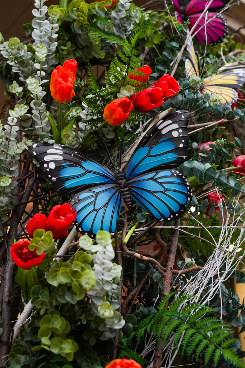 Galerie printemps 2026 fleurs d'ines (4)